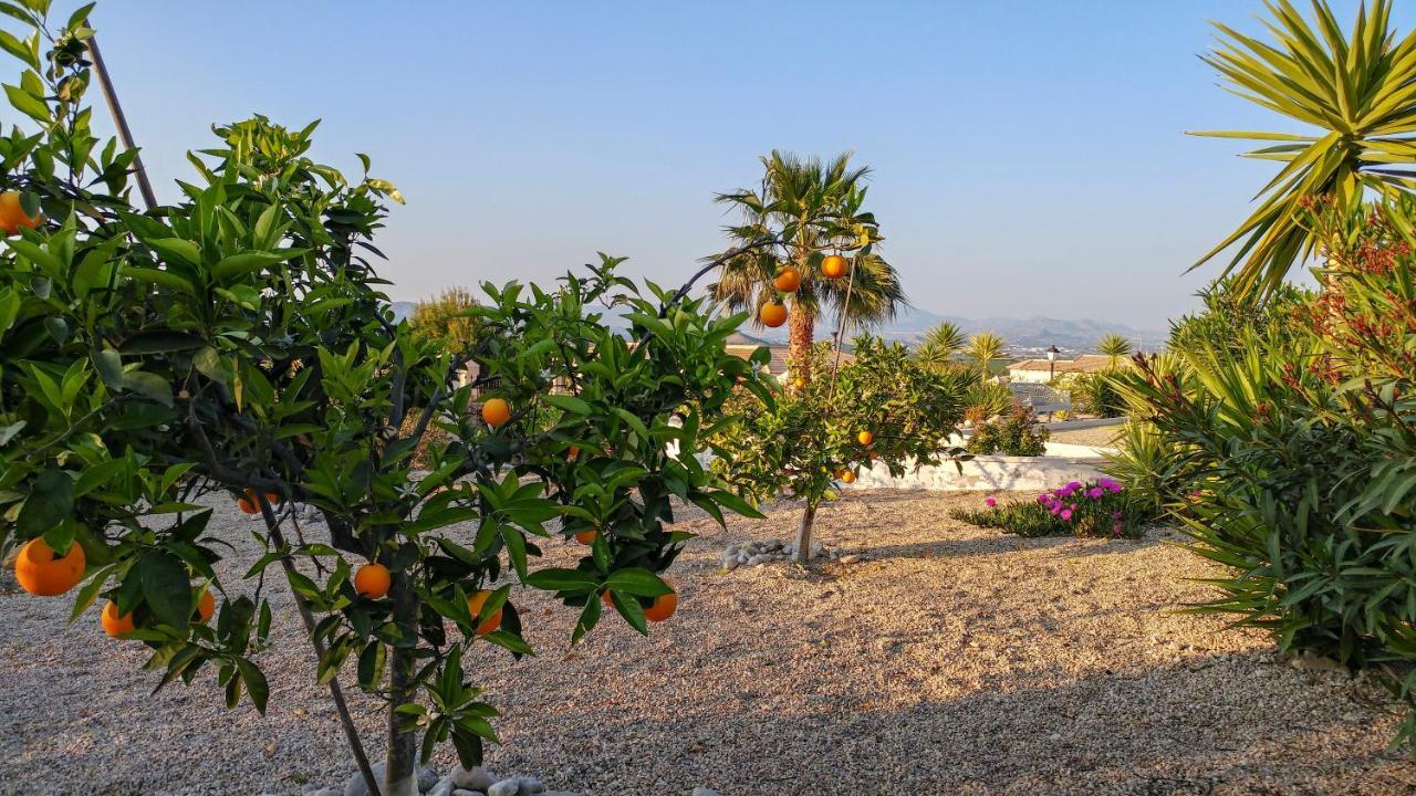 Villa Campos del Río المظهر الخارجي الصورة